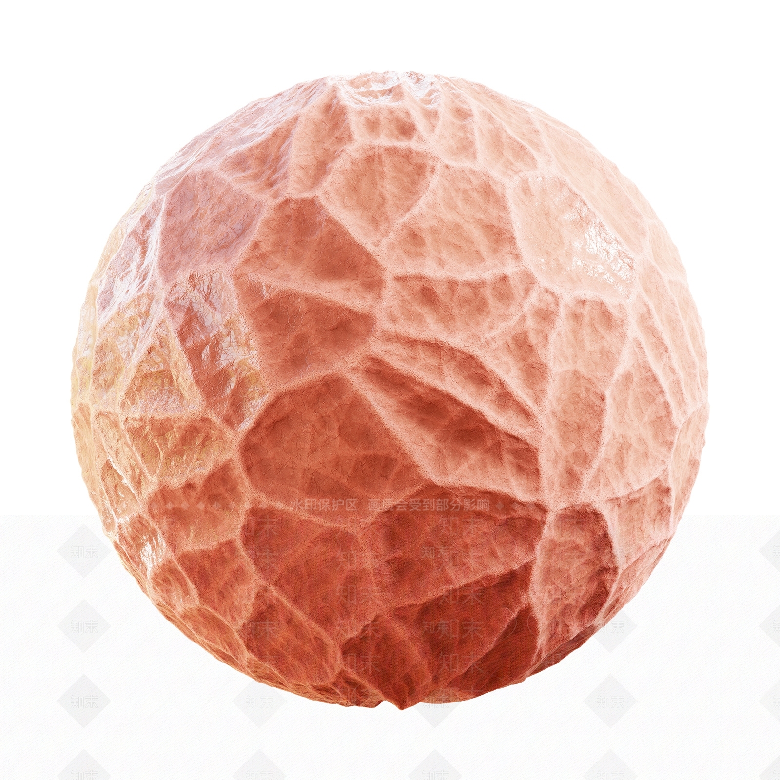 其他动物3D模型下载【ID:1179778890】