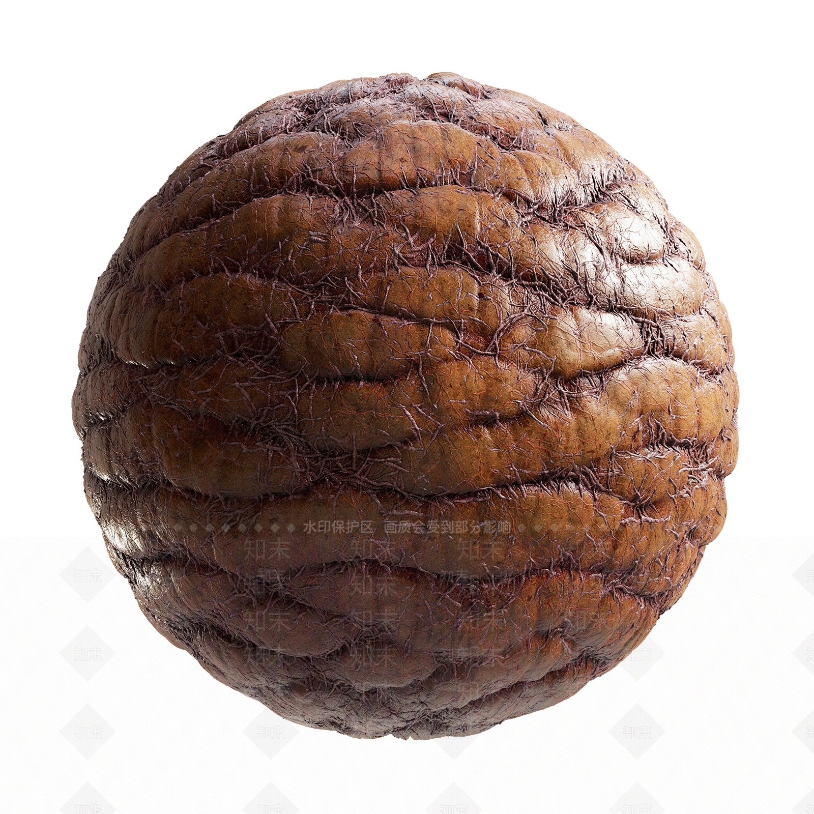 其他动物3D模型下载【ID:1179780445】