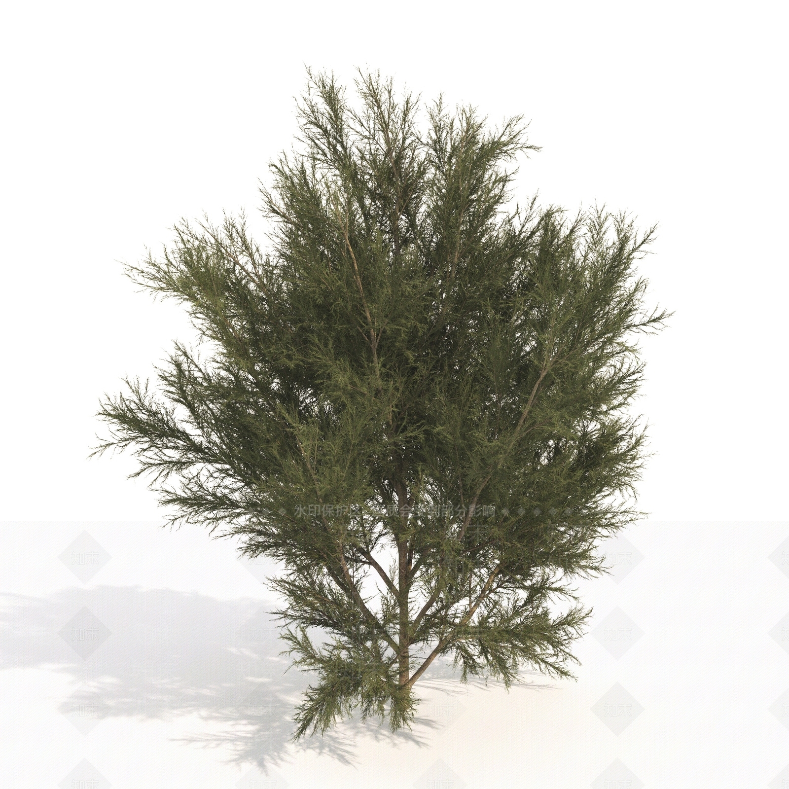 景观树3D模型下载【ID:1179859653】