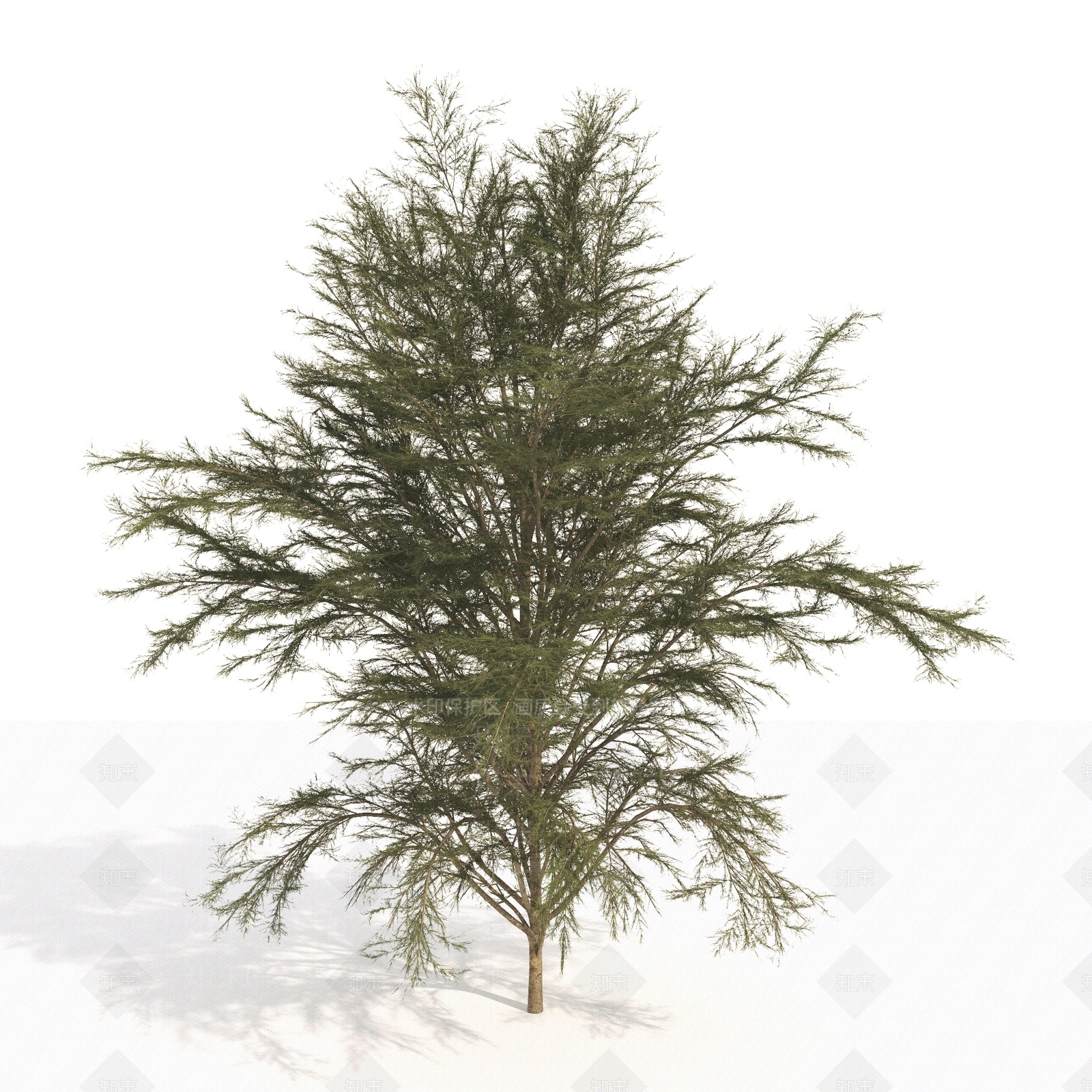 景观树3D模型下载【ID:1179859760】