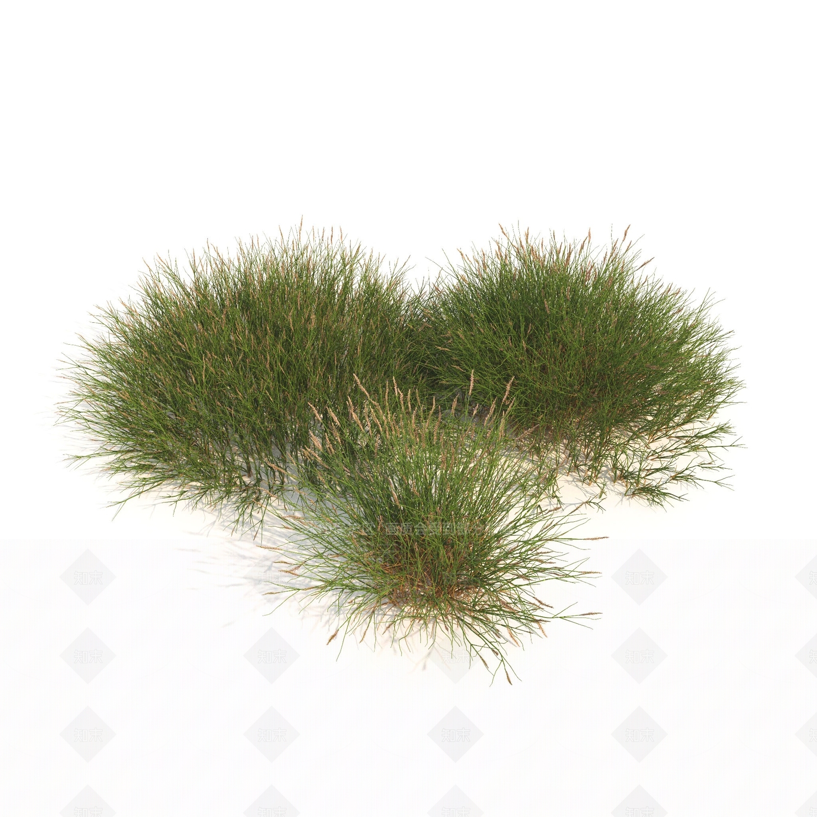草3D模型下载【ID:1179860166】