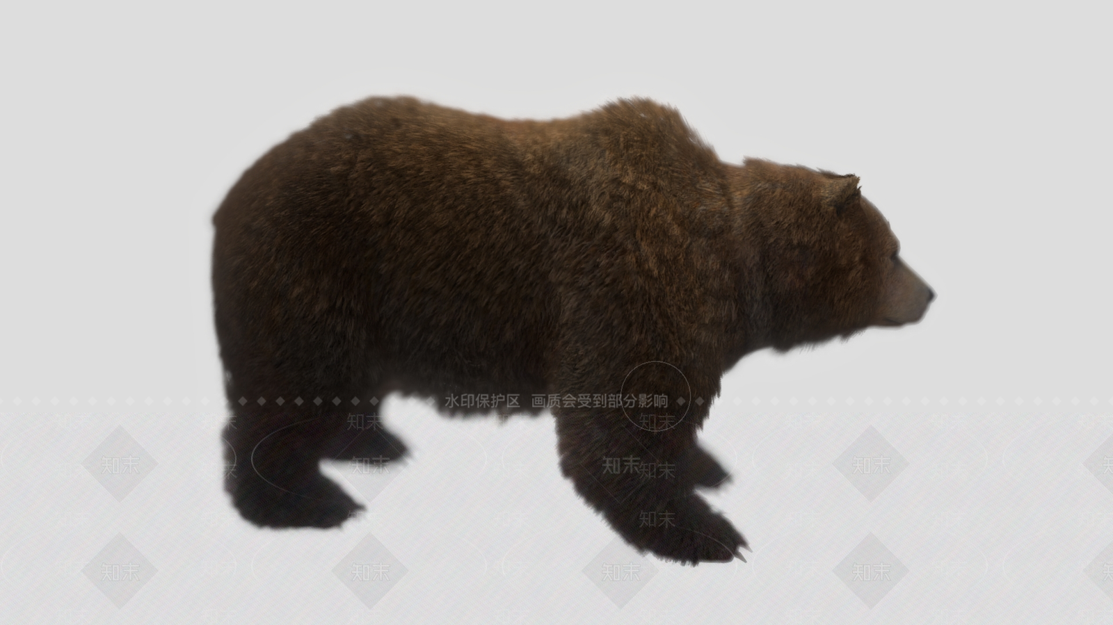 爬行类动物3D模型下载【ID:1179862211】