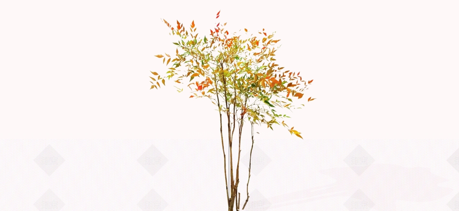 灌木SU模型下载【ID:1179865556】