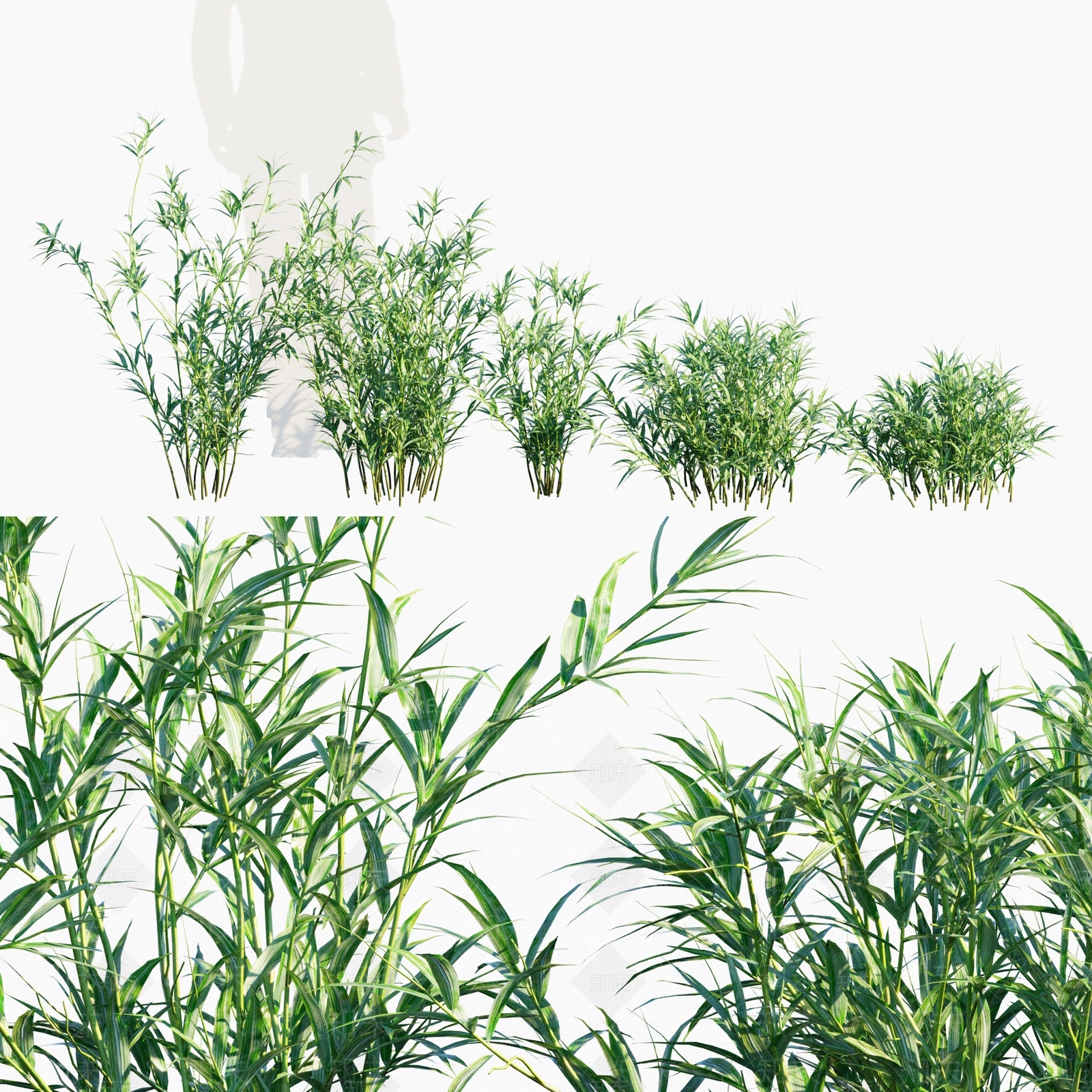 竹子3D模型下载【ID:1179895059】