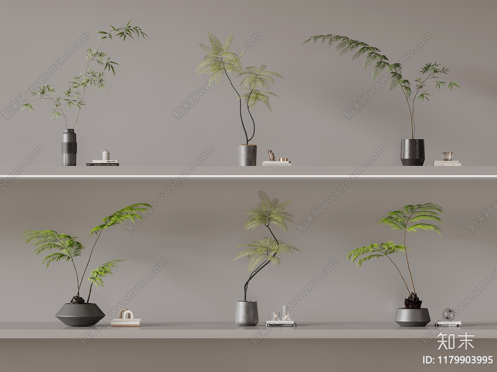 水生植物3D模型下载【ID:1179903995】