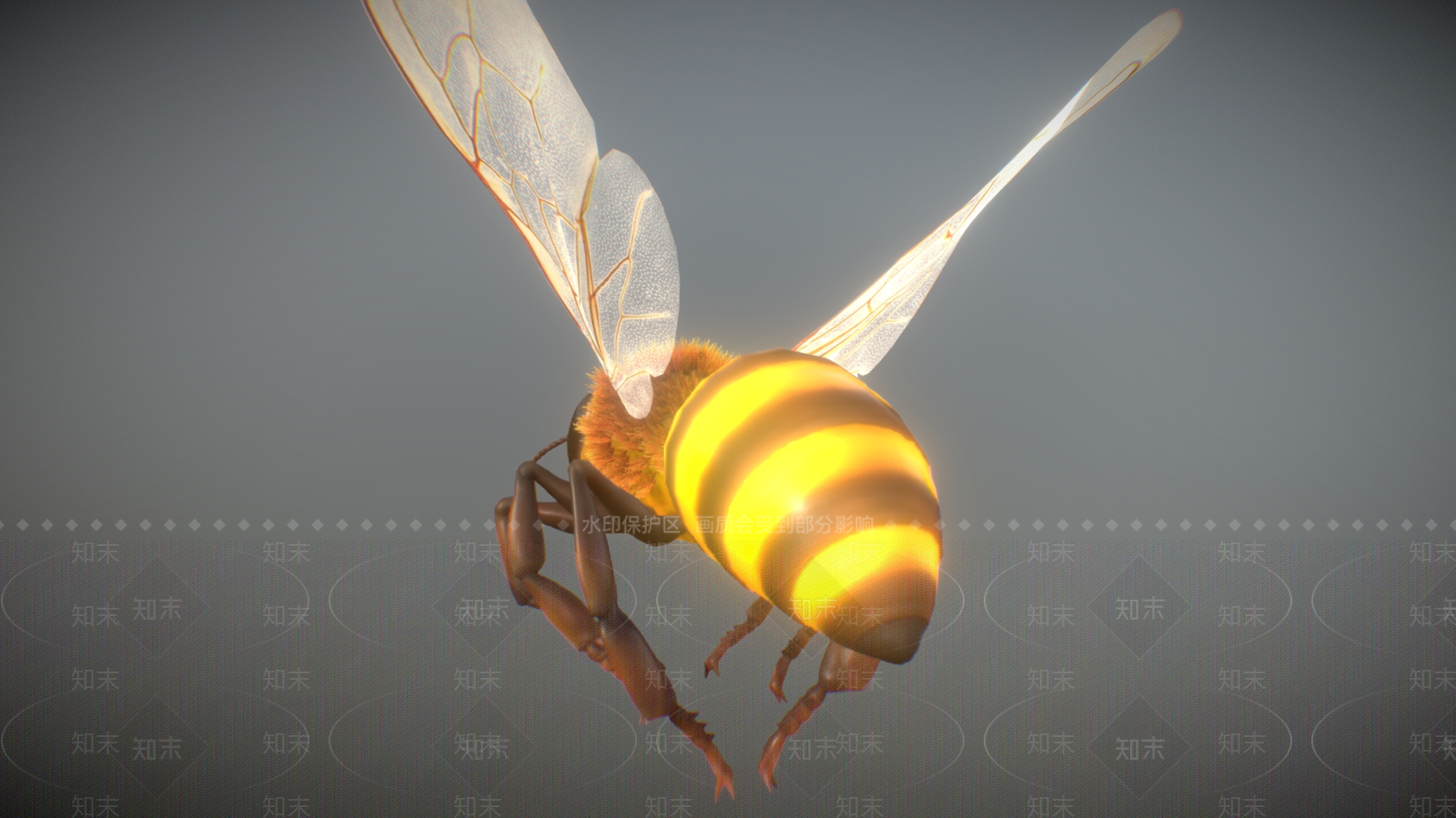 飞行类动物3D模型下载【ID:1179941092】