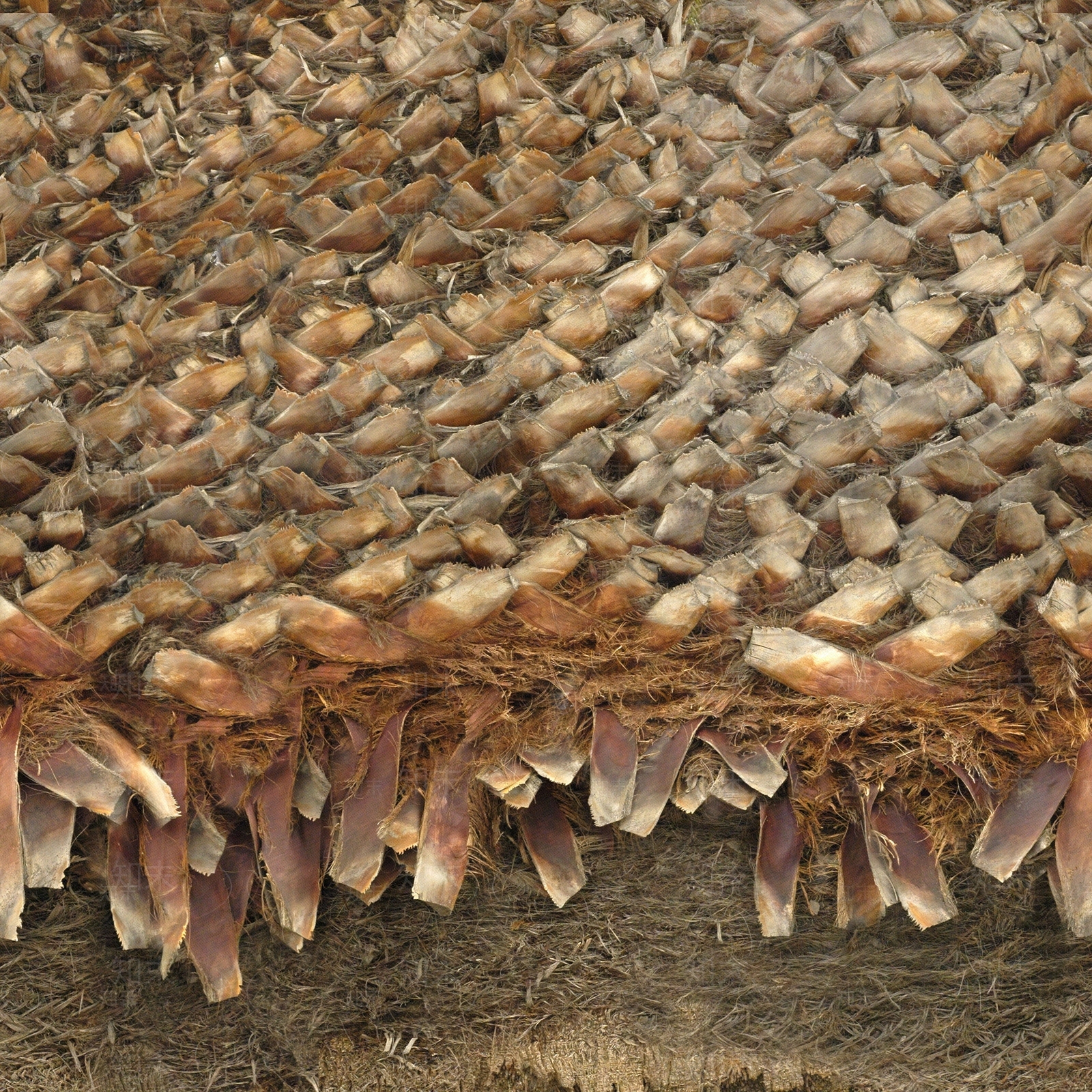 现代树皮贴图下载【ID:1179947273】