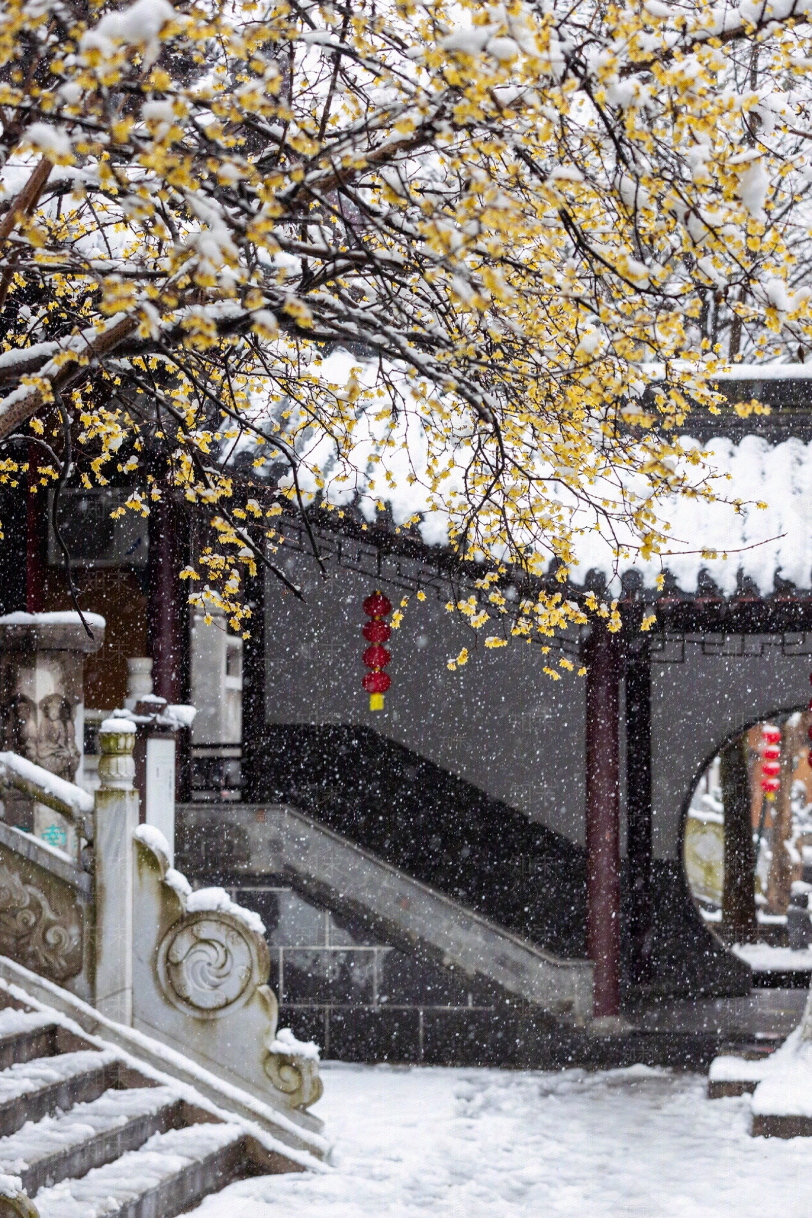 现代街道外景贴图下载【ID:1179961708】