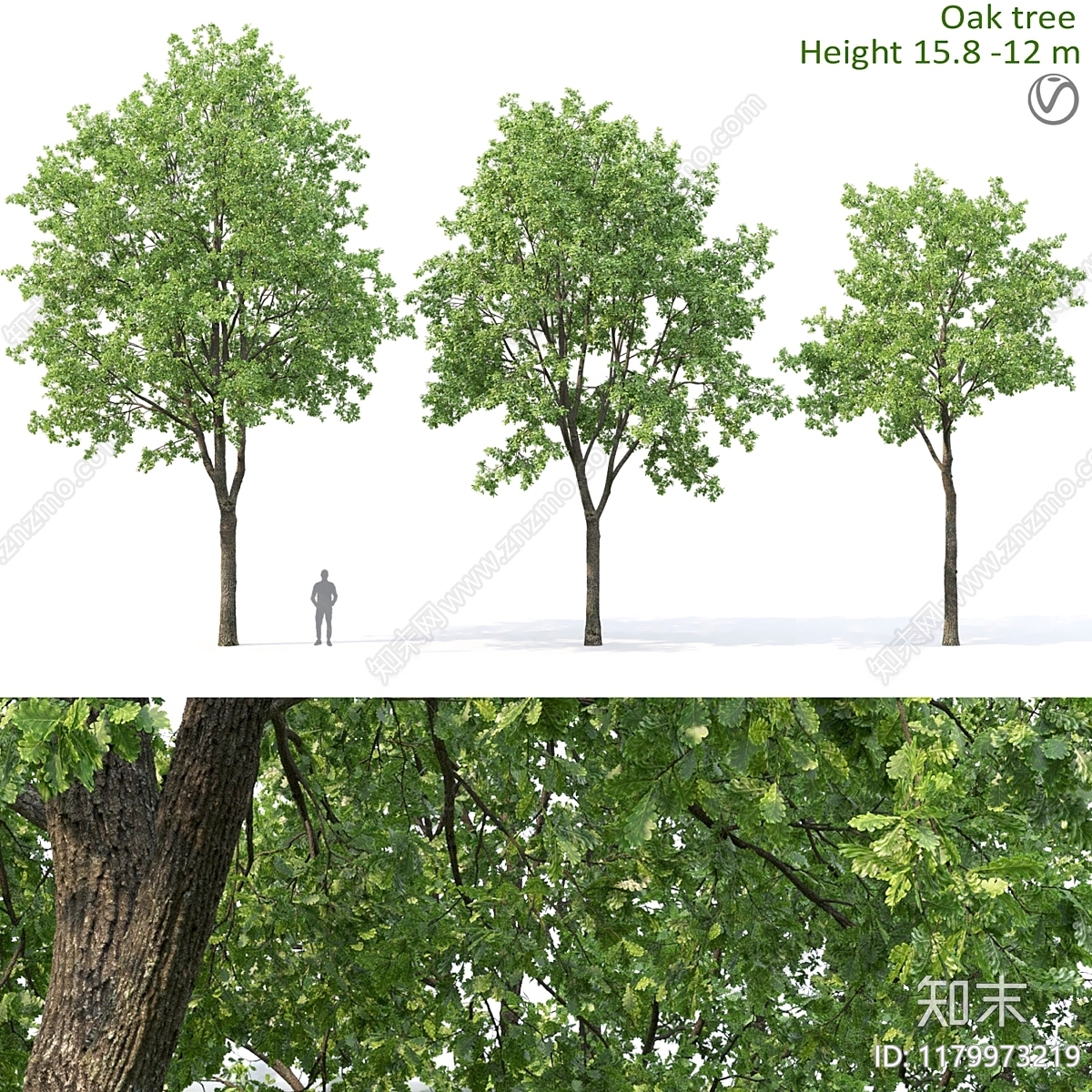 其他树木3D模型下载【ID:1179973219】