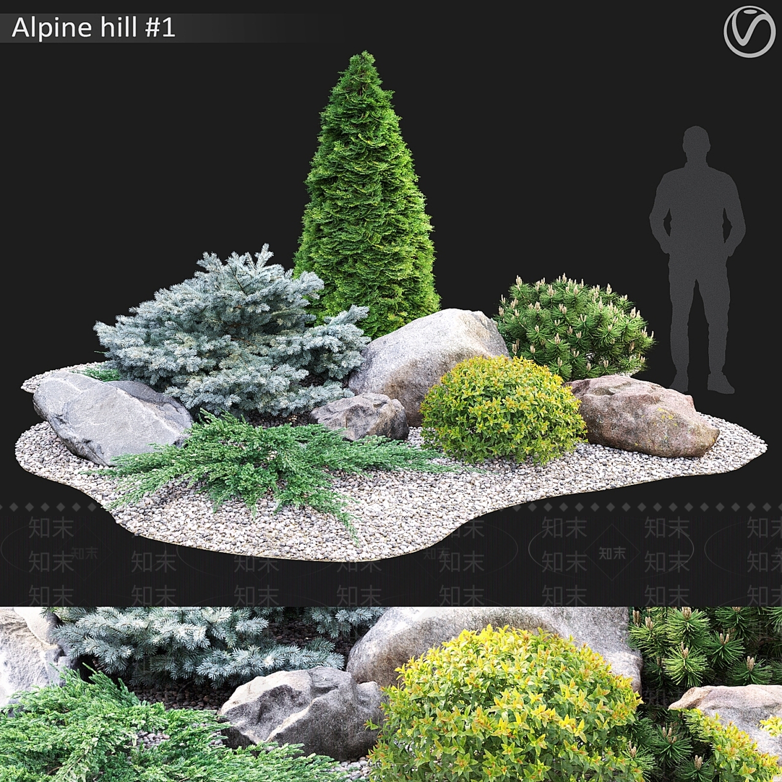 其他绿植3D模型下载【ID:1179975818】