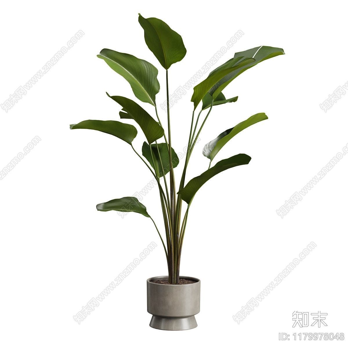 现代绿植盆栽3D模型下载【ID:1179978048】