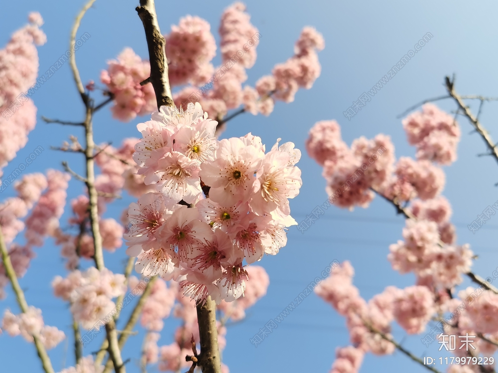 现代风景贴图下载【ID:1179979229】