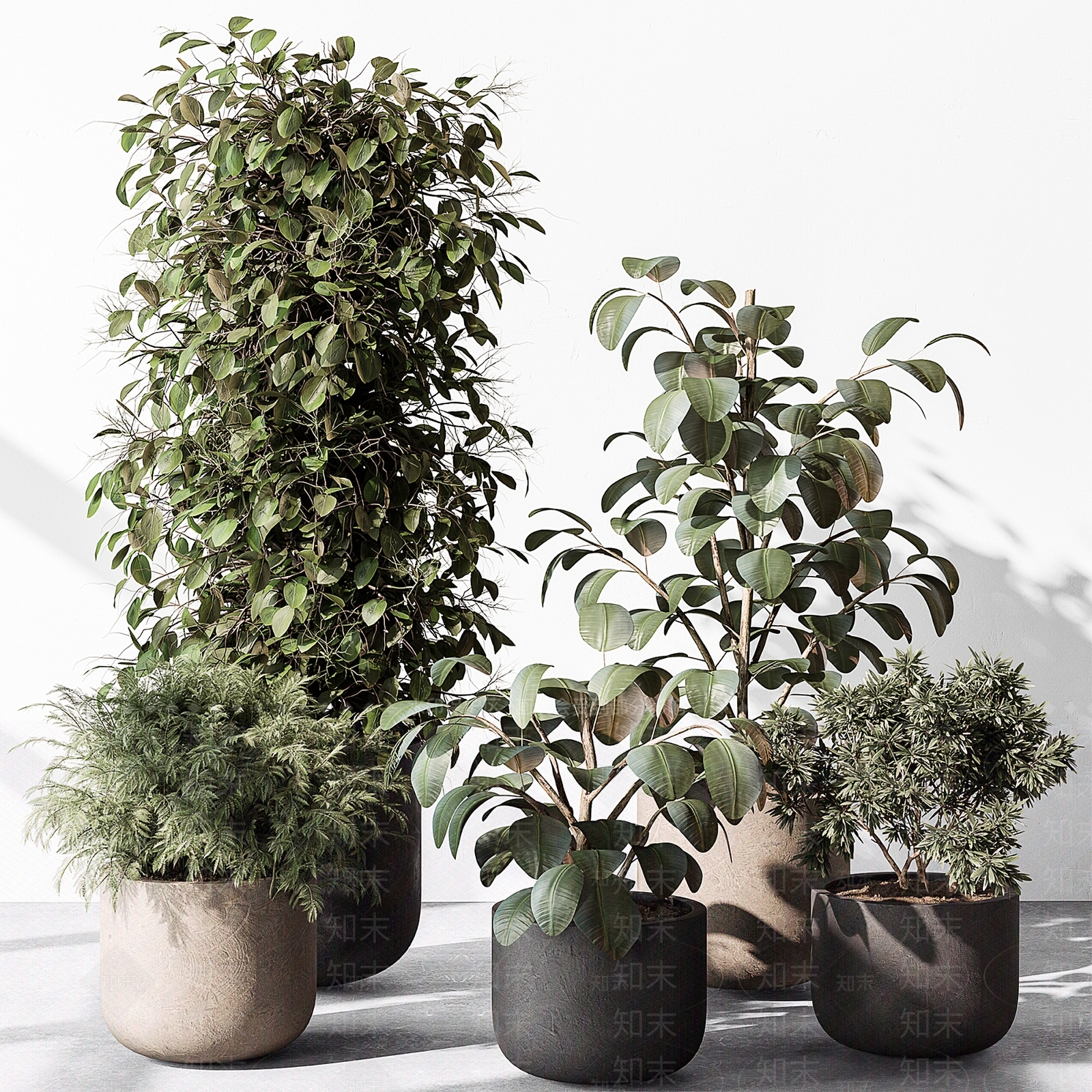 现代植物盆栽盆景3D模型下载【ID:1179984760】