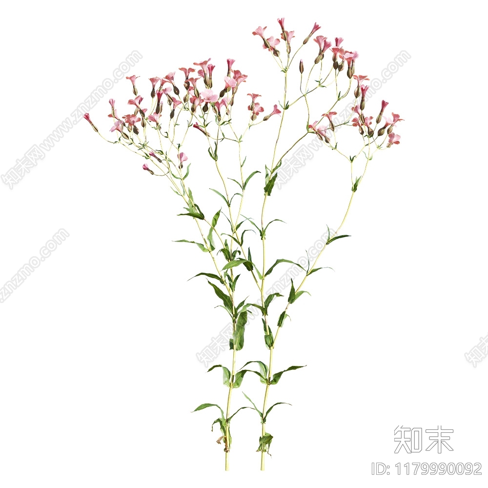 现代花枝3D模型下载【ID:1179990092】