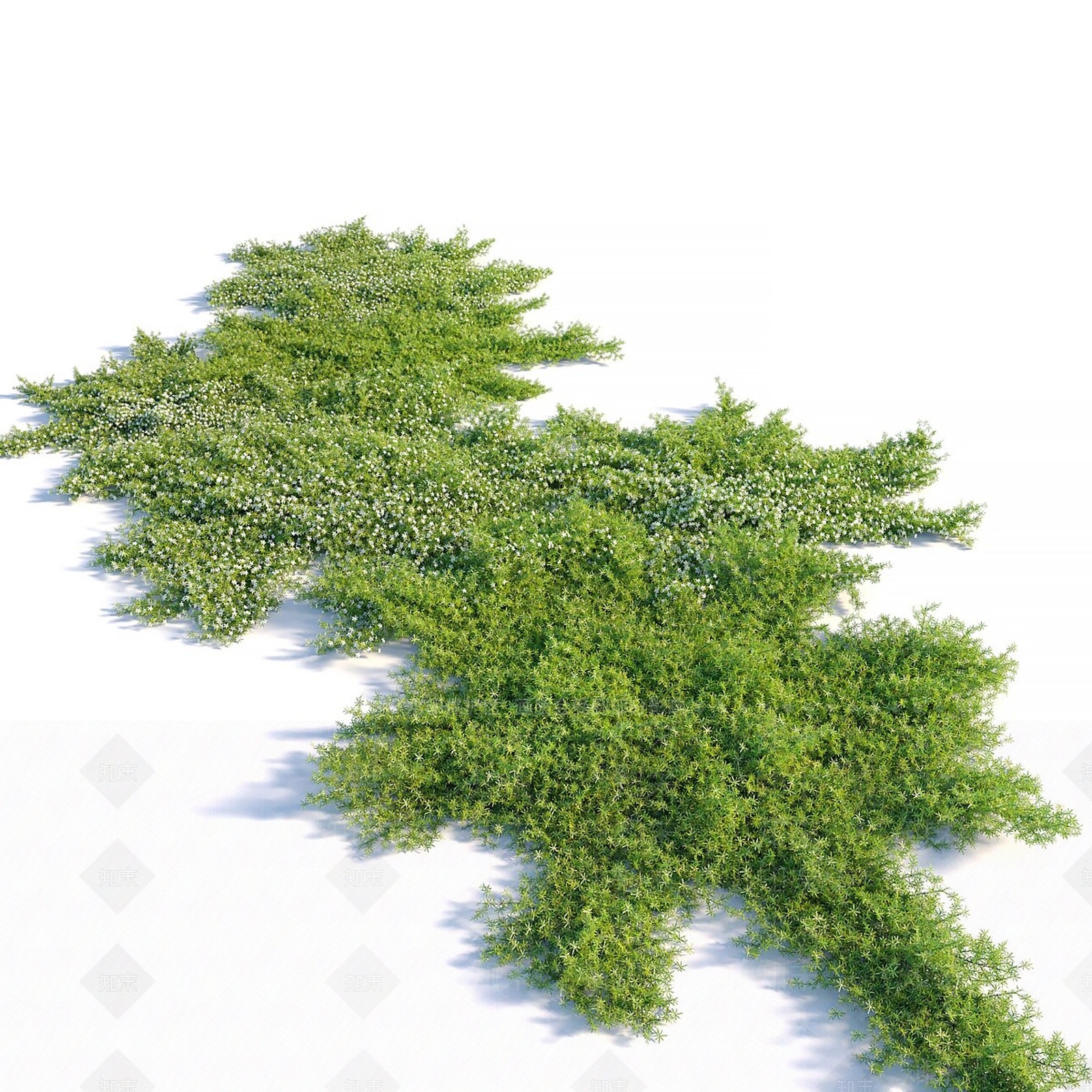其他绿植3D模型下载【ID:1180022114】