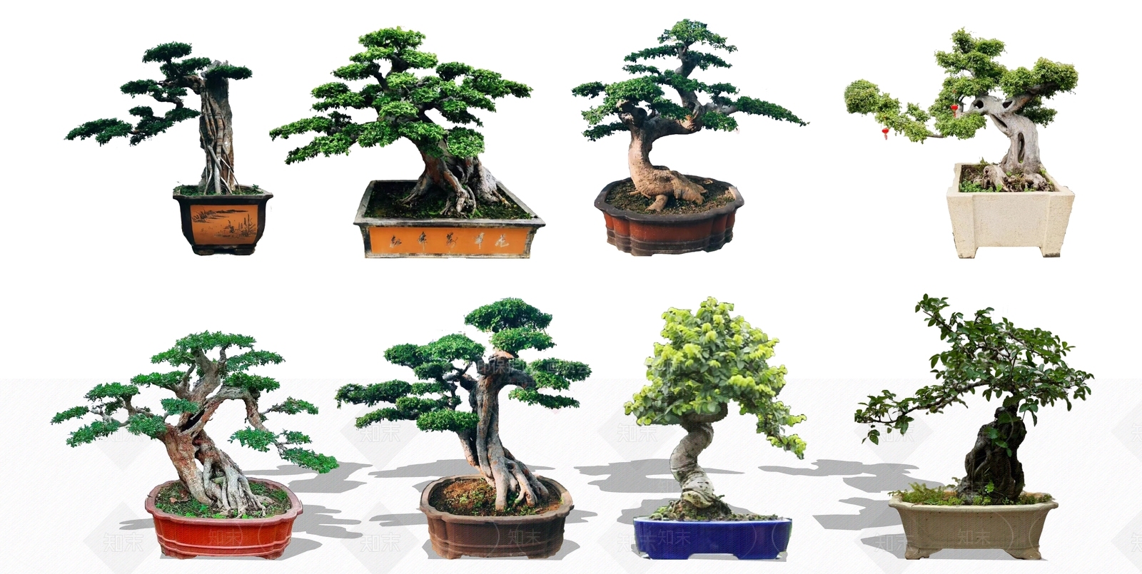 植物组合SU模型下载【ID:1180024582】