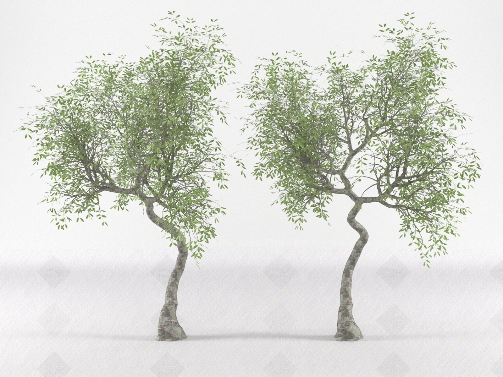 其他树木3D模型下载【ID:1180045202】