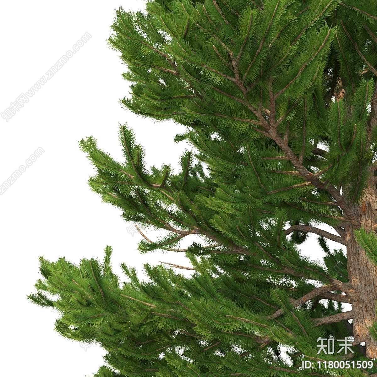 其他树木3D模型下载【ID:1180051509】