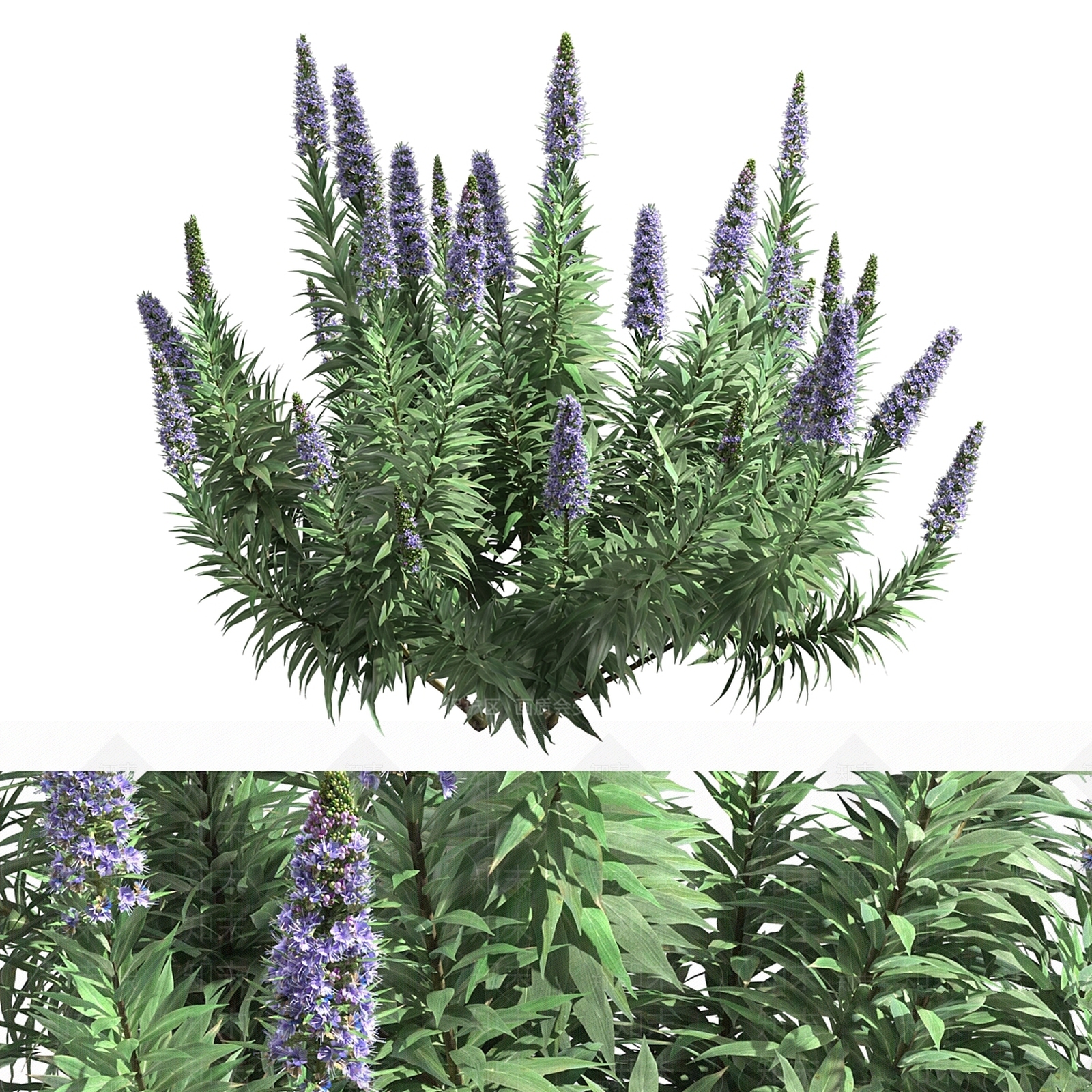 灌木3D模型下载【ID:1180059554】