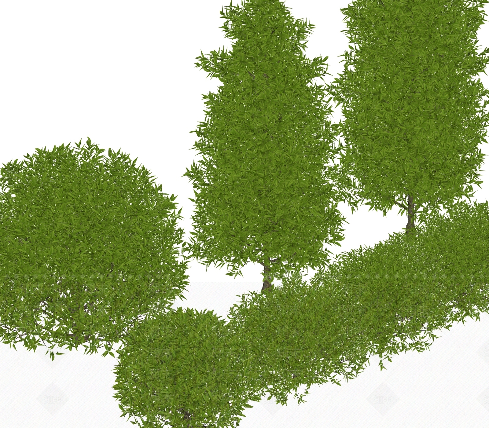 灌木SU模型下载【ID:1180059758】