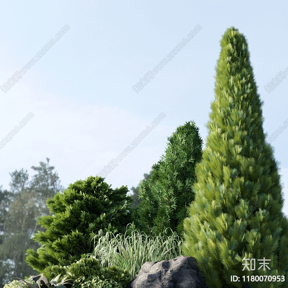 其他绿植3D模型下载【ID:1180070953】