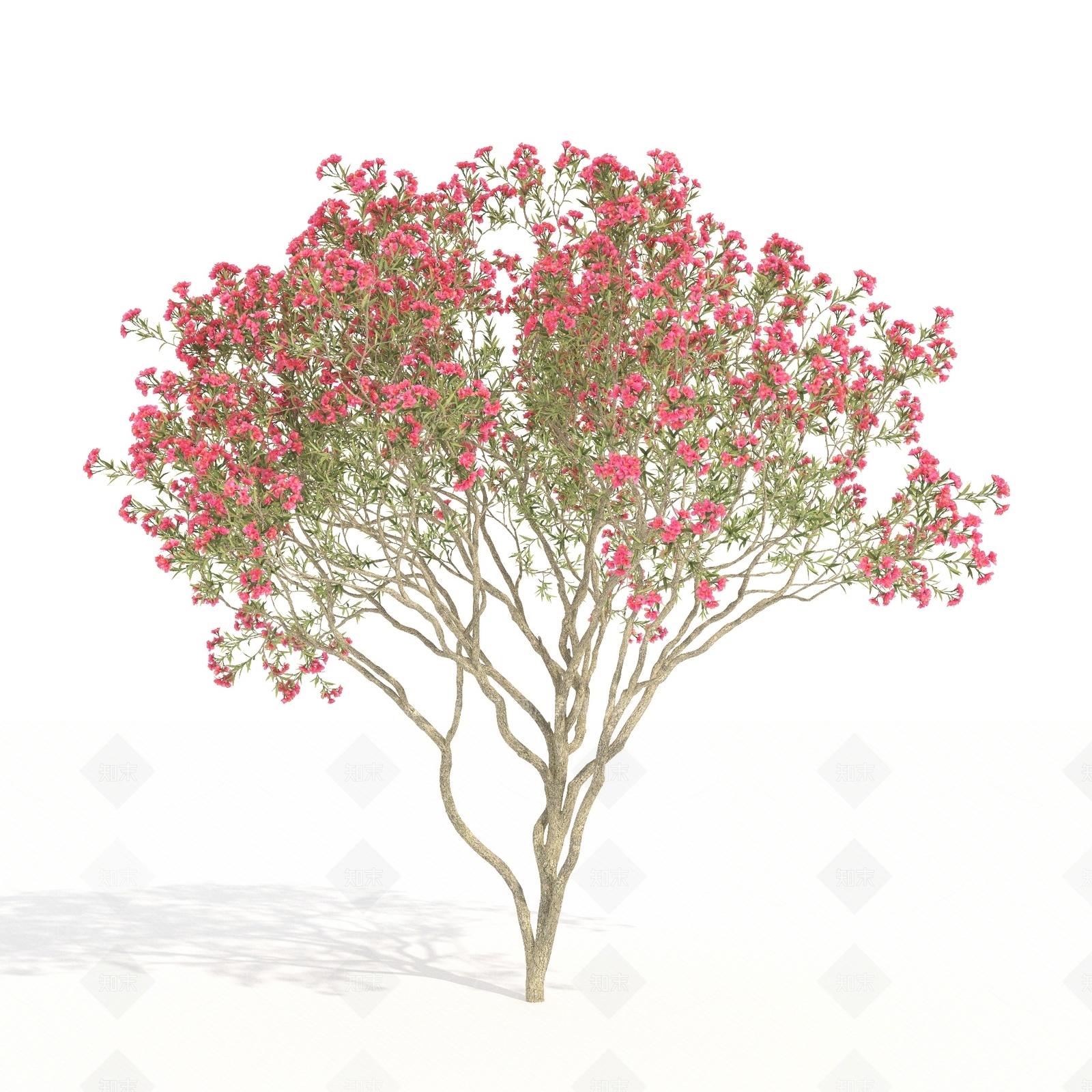 景观树3D模型下载【ID:1180072946】