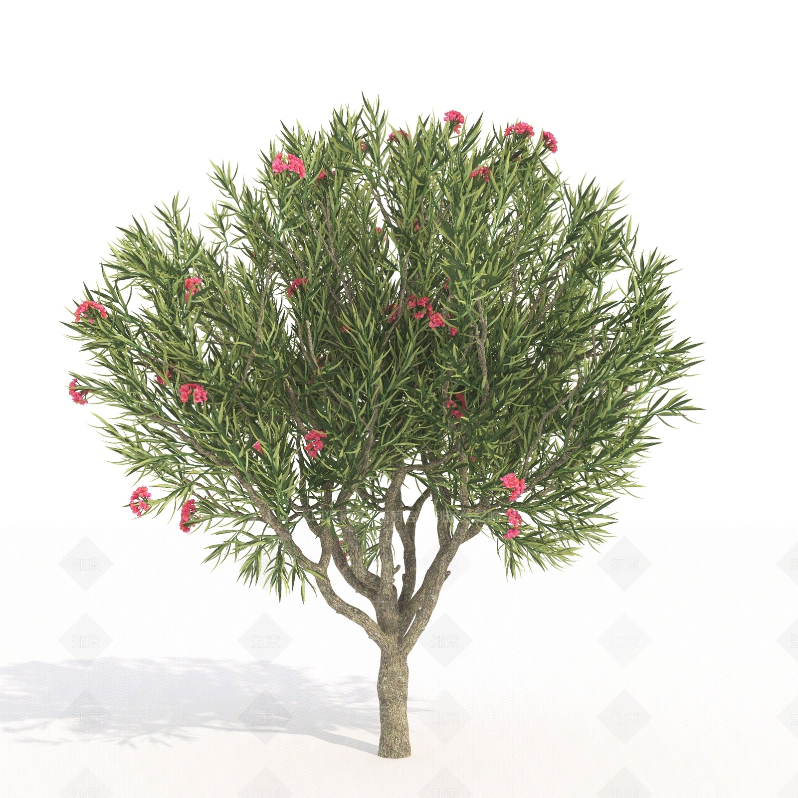 景观树3D模型下载【ID:1180073173】