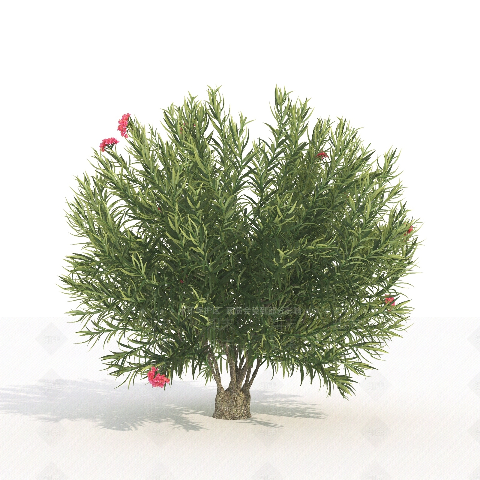 景观树3D模型下载【ID:1180073424】