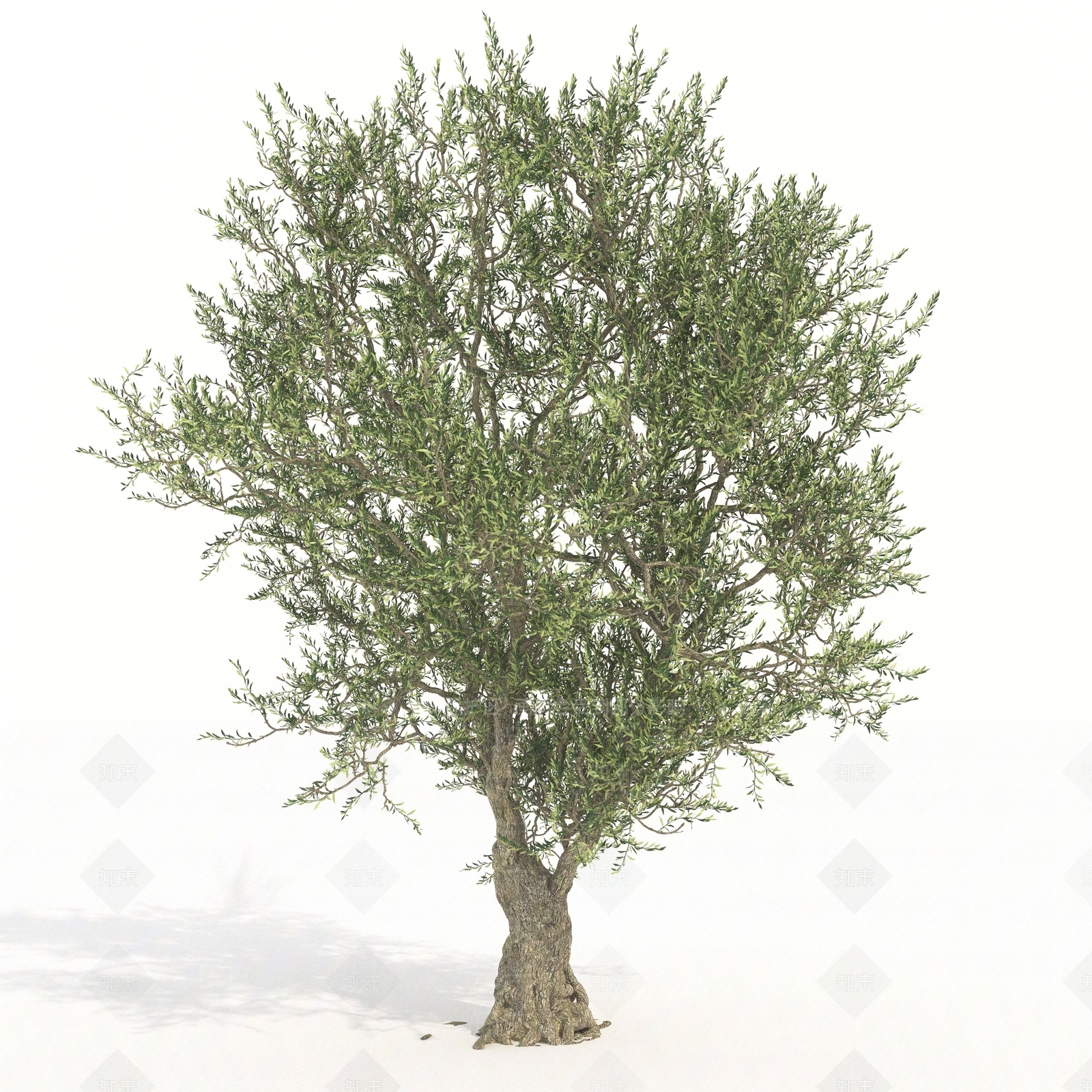 景观树3D模型下载【ID:1180074032】