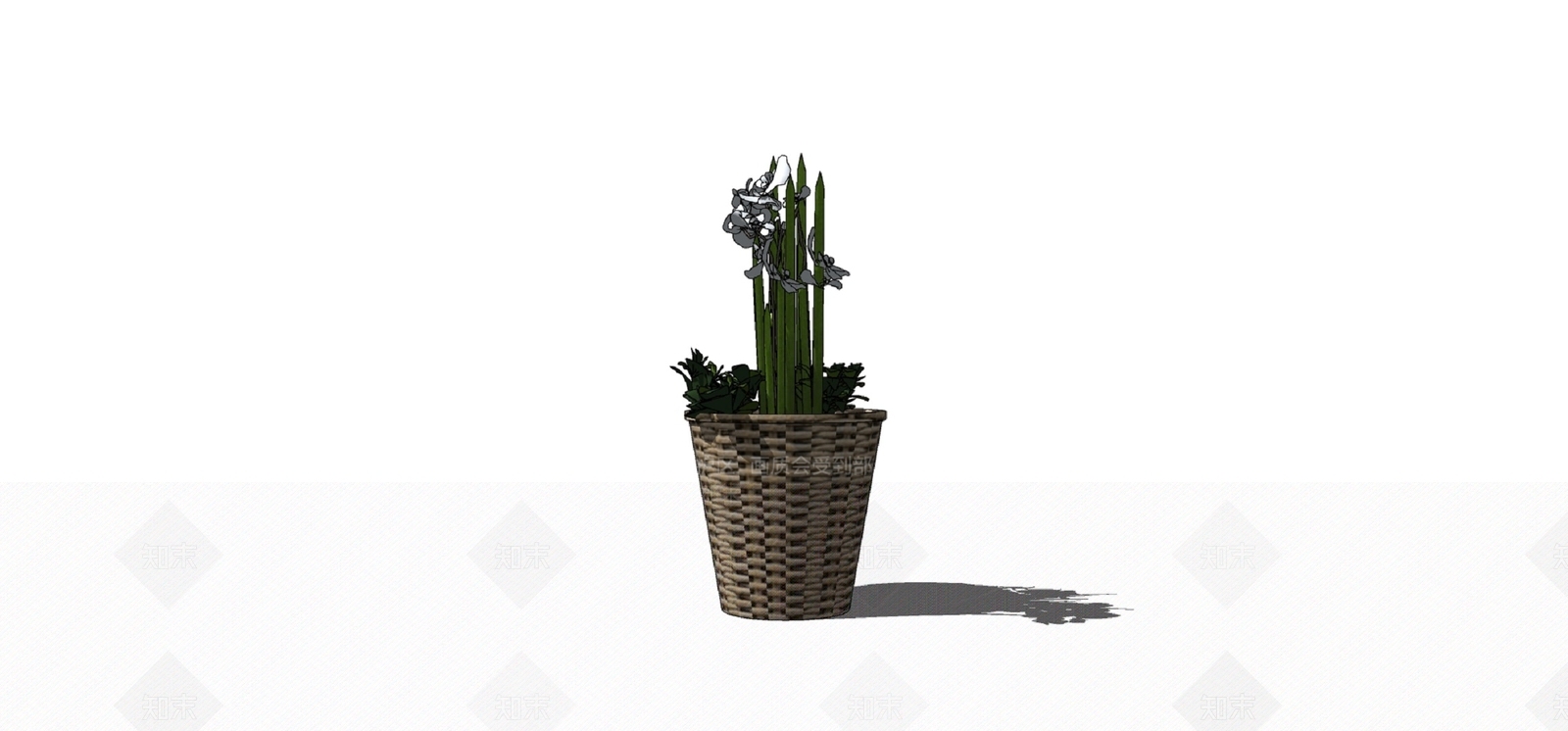 盆栽SU模型下载【ID:1180102196】