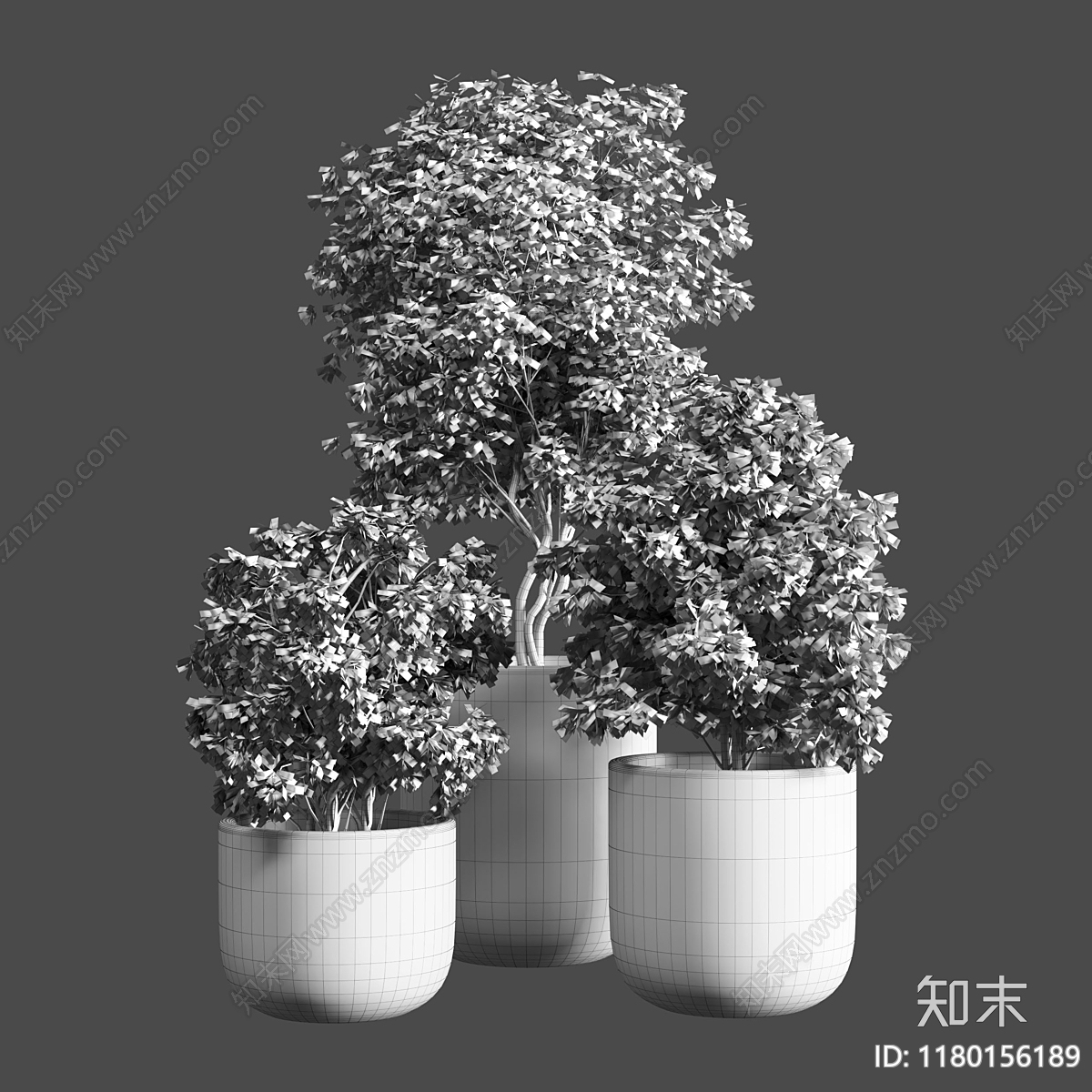 其他绿植3D模型下载【ID:1180156189】