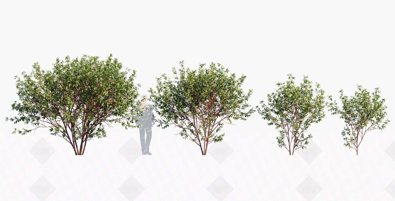 景观树3D模型下载【ID:1180156378】