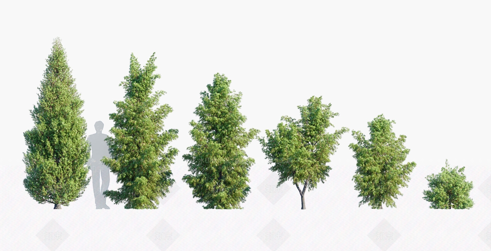 景观树3D模型下载【ID:1180157524】