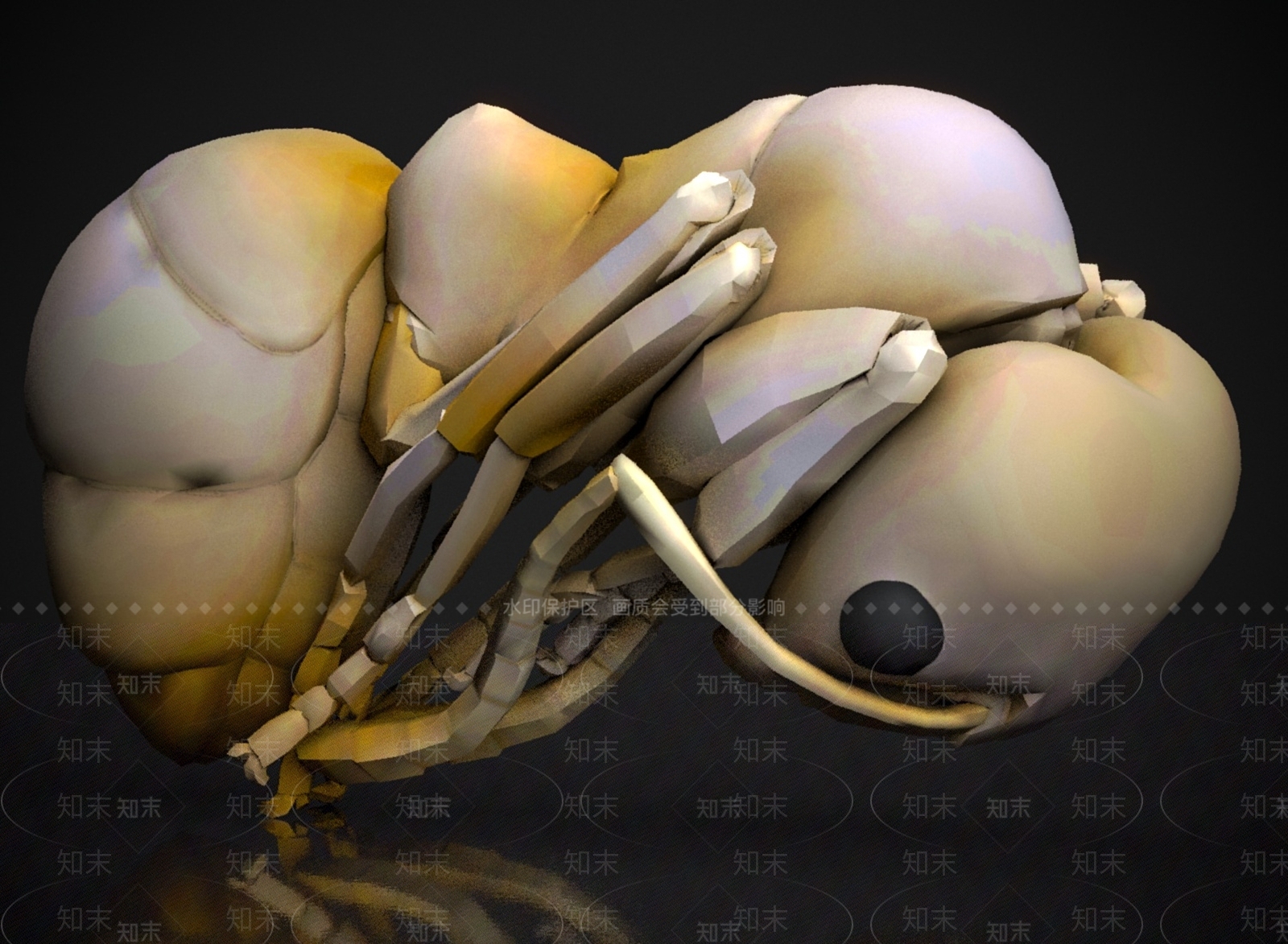其他动物3D模型下载【ID:1180168206】