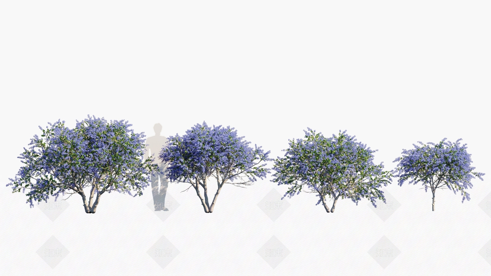 景观树3D模型下载【ID:1180179560】