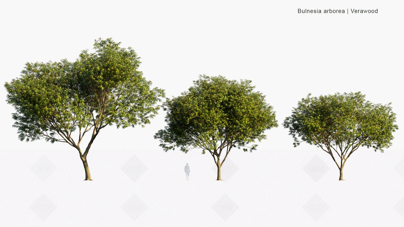 景观树3D模型下载【ID:1180205295】