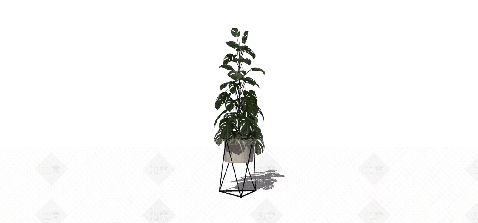 盆栽SU模型下载【ID:1180206240】