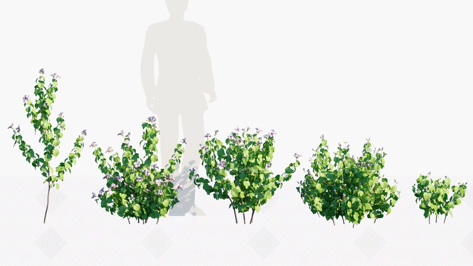 灌木3D模型下载【ID:1180233171】