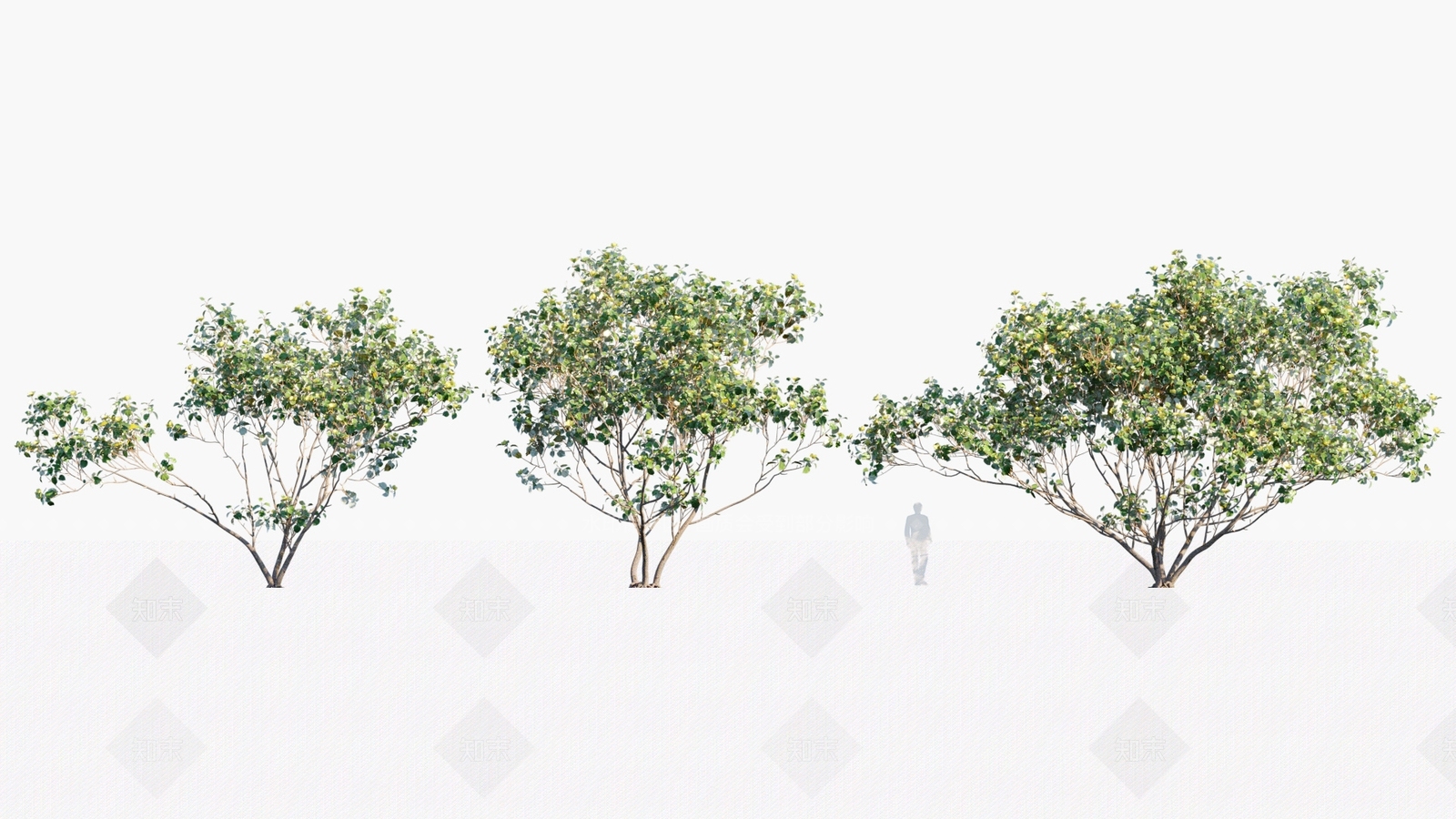 景观树3D模型下载【ID:1180233263】