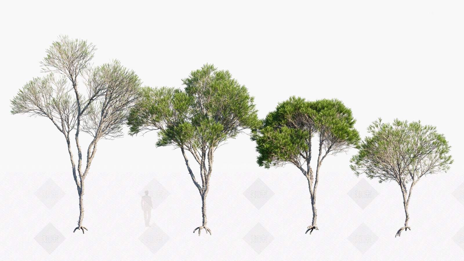 景观树3D模型下载【ID:1180243546】
