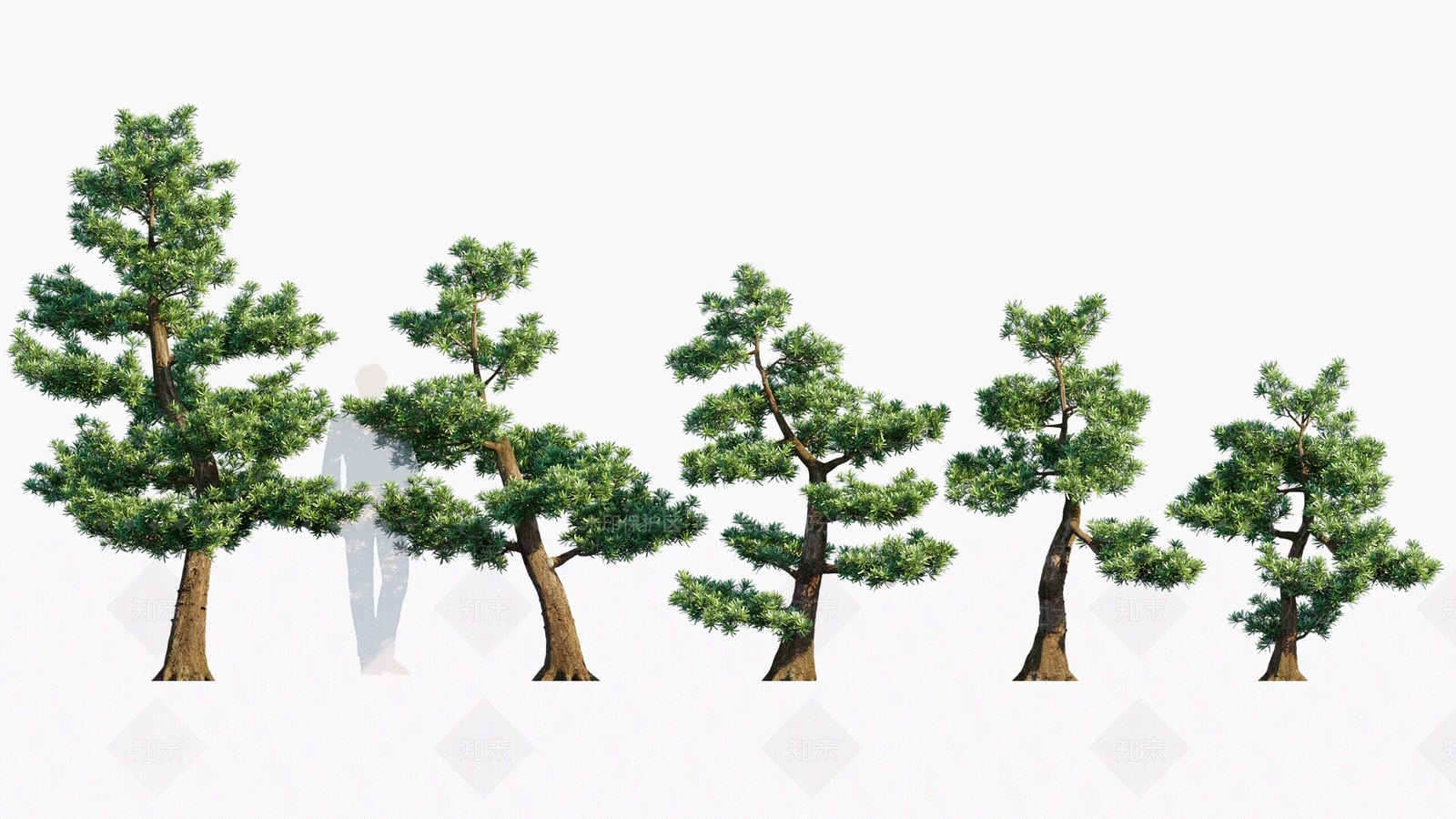 乔木3D模型下载【ID:1180252038】