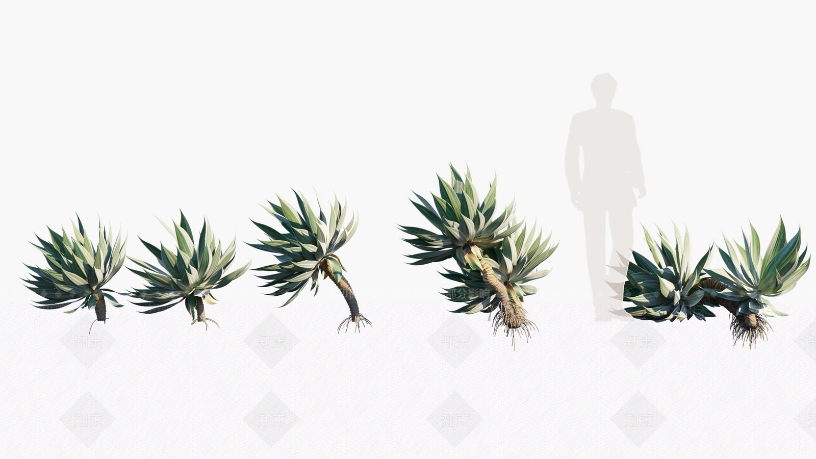 草3D模型下载【ID:1180252718】