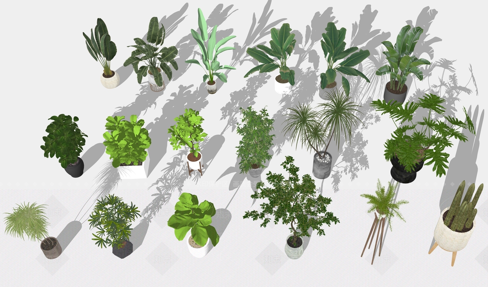 植物组合SU模型下载【ID:1180256946】