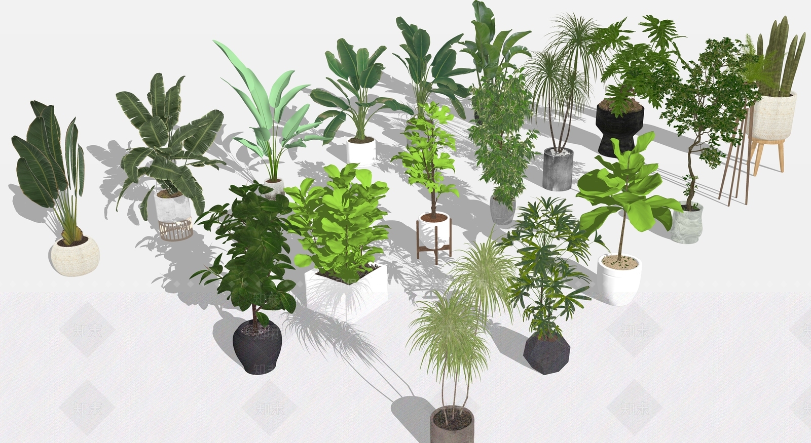 植物组合SU模型下载【ID:1180256946】