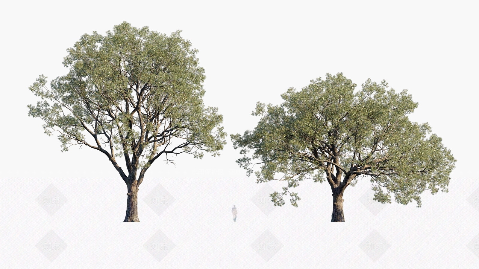 乔木3D模型下载【ID:1180260073】