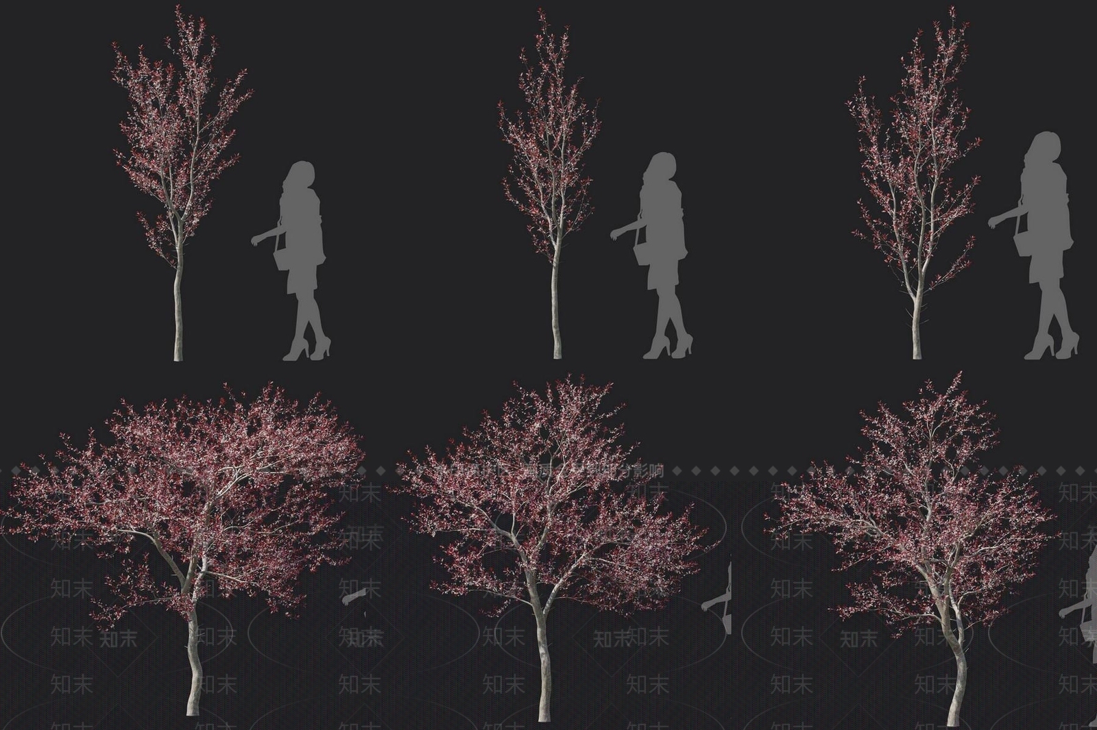 景观树3D模型下载【ID:1180262868】