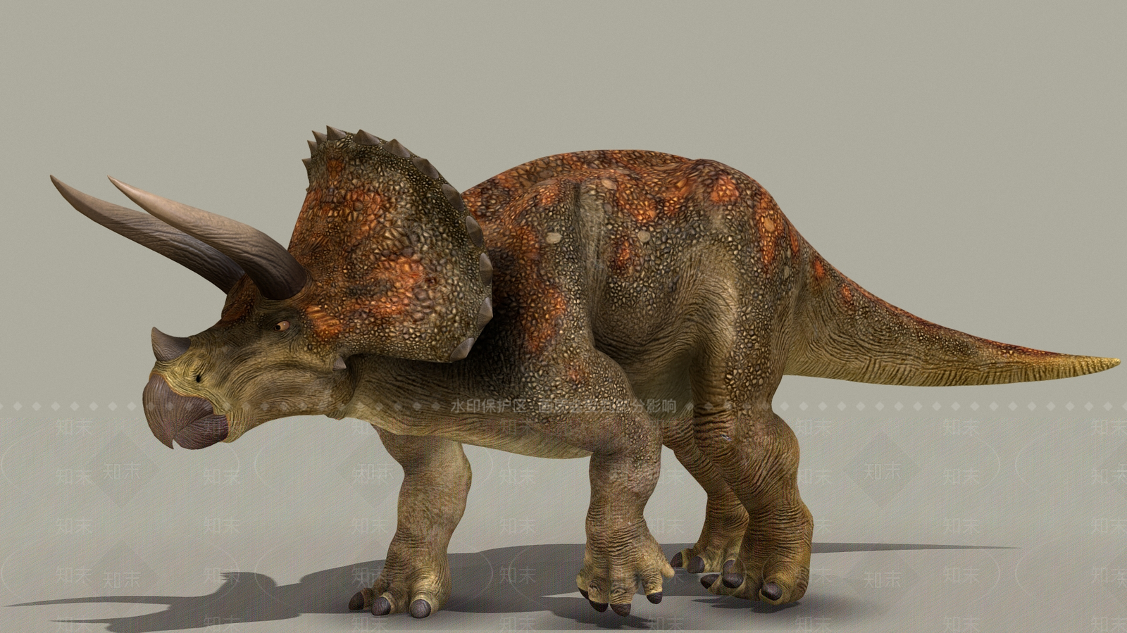 爬行类动物3D模型下载【ID:1180263750】