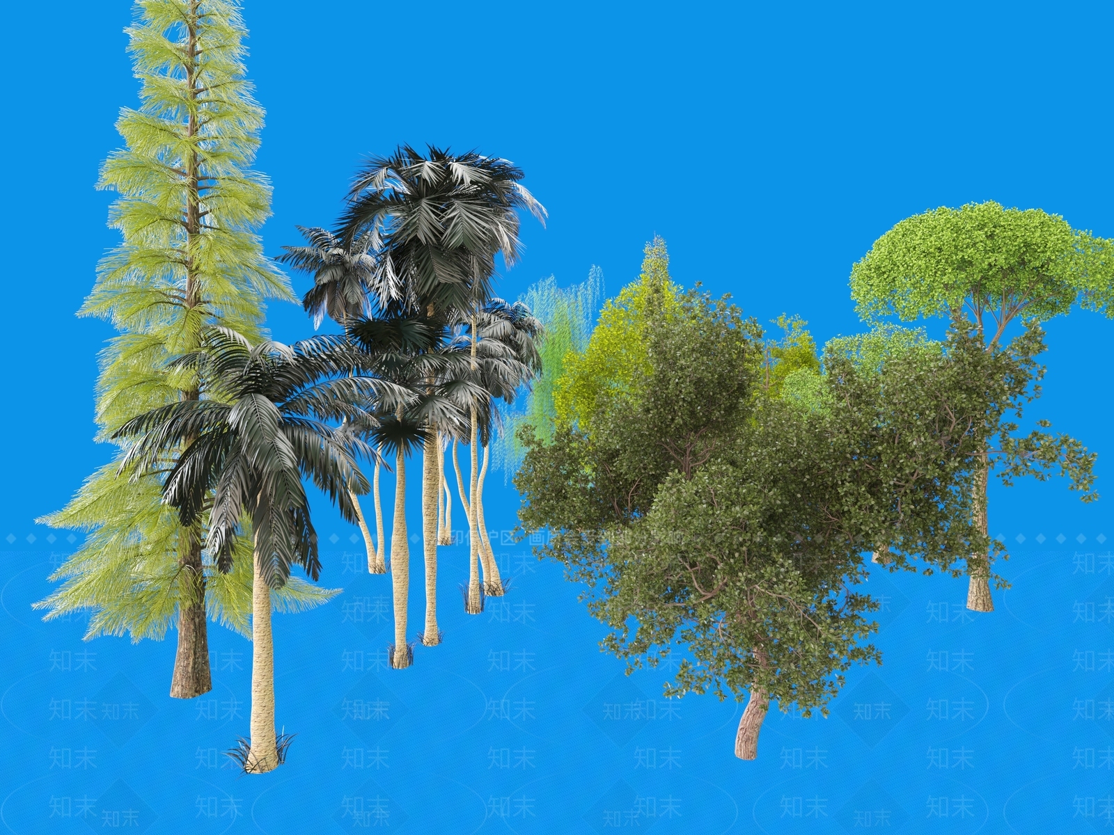 景观树3D模型下载【ID:1180265514】