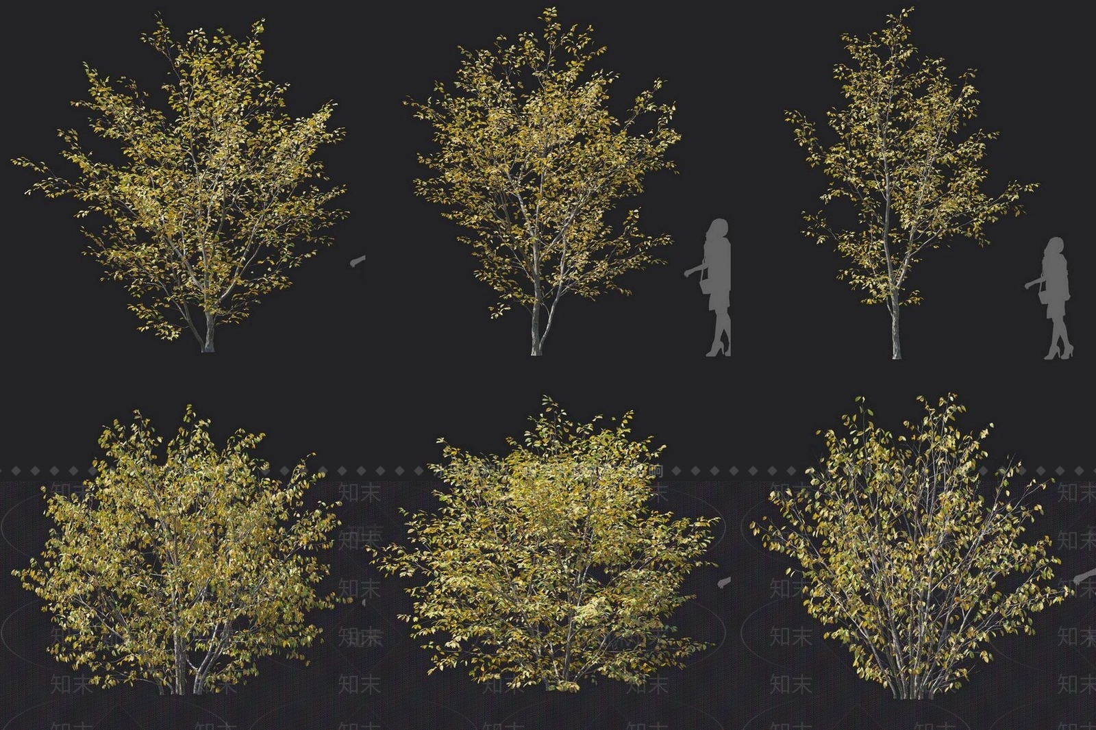灌木3D模型下载【ID:1180265906】