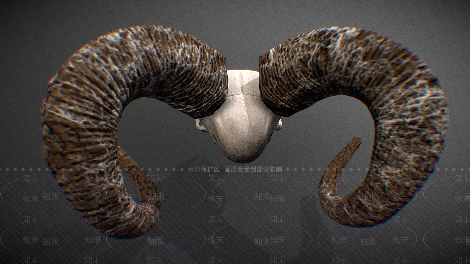 其他动物3D模型下载【ID:1180269751】